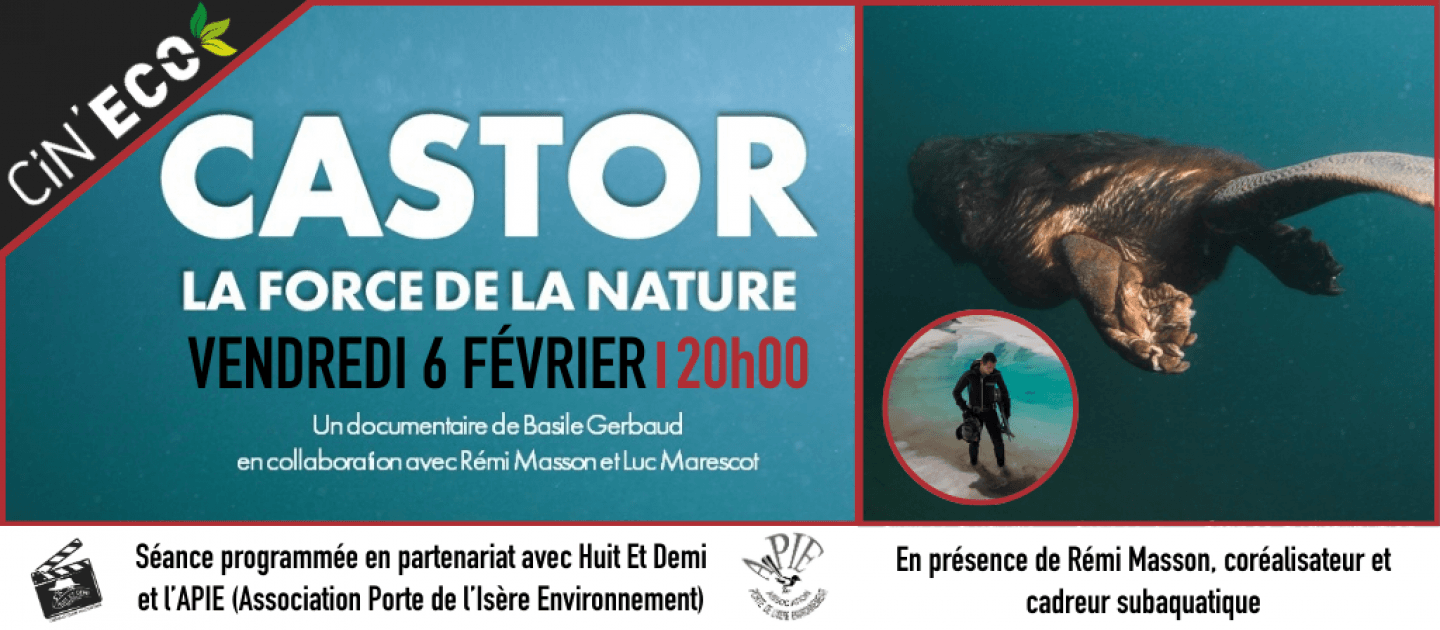 actualité cinecofevrier