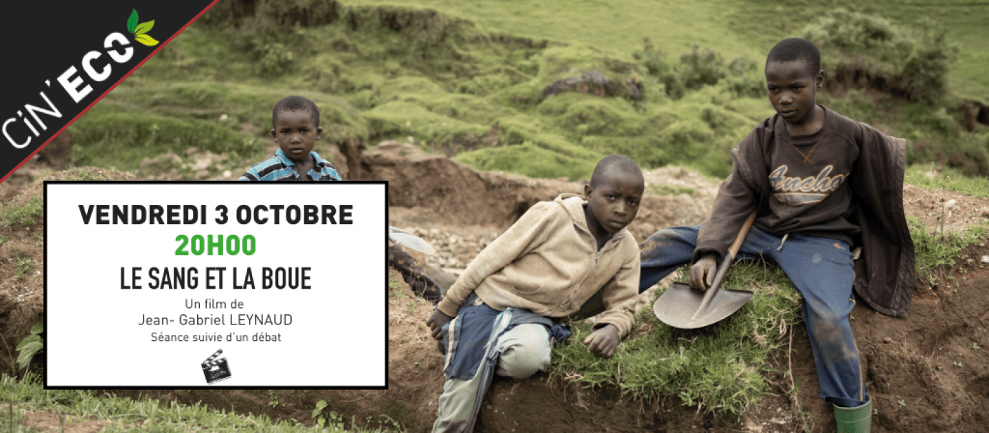 actualité cineco