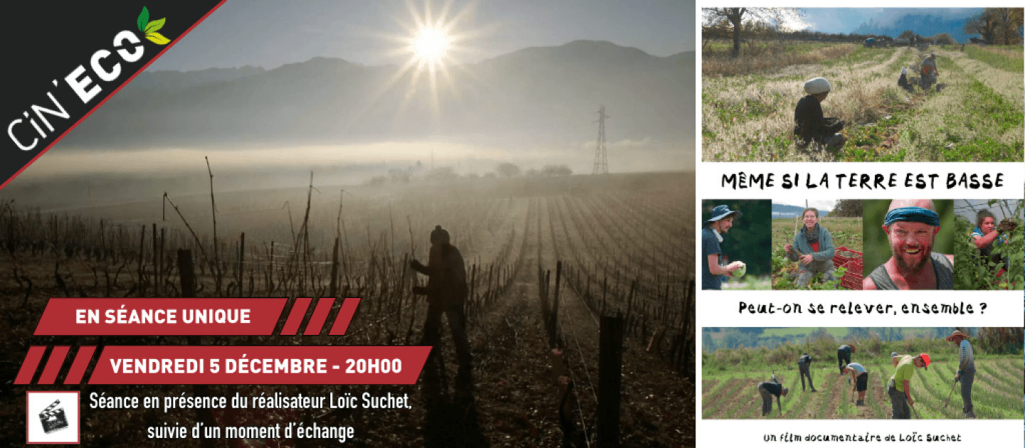 actualité cineco0512