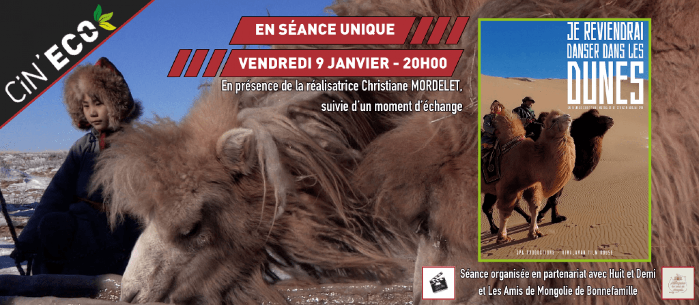 actualité cineco0901